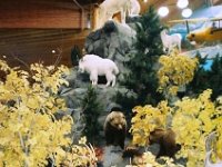 photos 2000-200901330